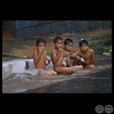 LEJOS DE NUESTRO ARROYO, 2011 - Fotografías de LUIS VERA