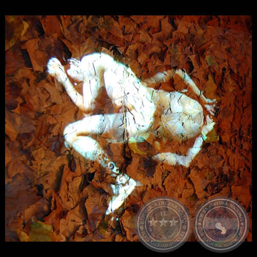 CHANGEMENT DE PEAU, 2007 - Video - instalación de LUVIER CASALI