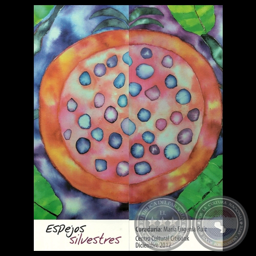 ESPEJOS SILVESTRES - Obras de MARTA ROCÍO BENÍTEZ - Curaduría de MARÍA EUGENIA RUÍZ 