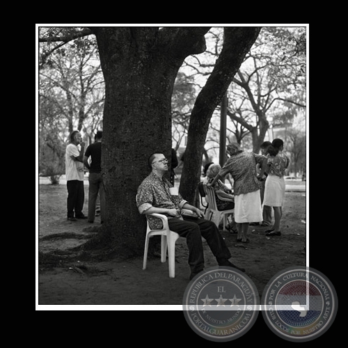 MÚSICO - BARRIO SAJONIA / SERIE - Fotografía de JAVIER MEDINA VERDOLINI