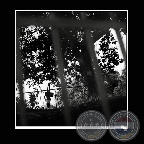 HAMACA - BARRIO SAJONIA / SERIE - Fotografía de JAVIER MEDINA VERDOLINI