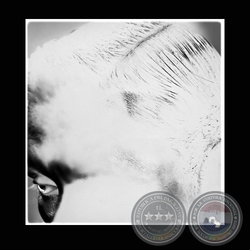 PANTERA - SERIE RETRATOS - Fotografía de JAVIER MEDINA VERDOLINI