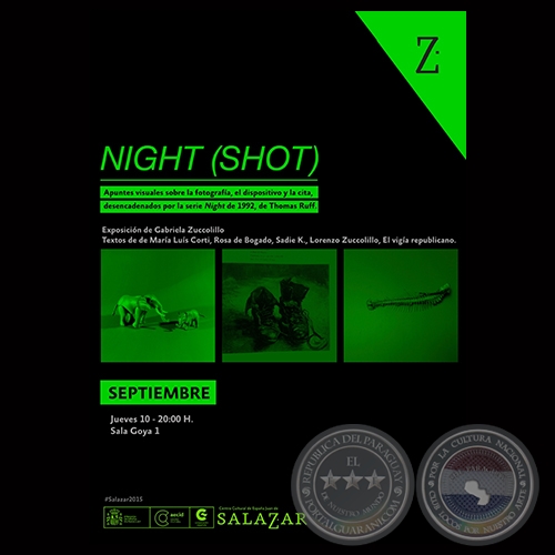 NIGHT (SHOT), 2015 - Exposicin de GABRIELA ZUCCOLILLO