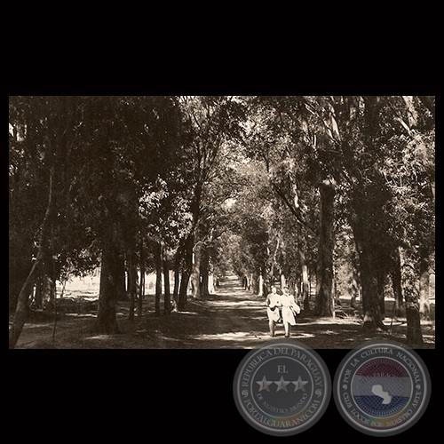 JARDÍN BOTÁNICO - ASUNCIÓN - PARAGUAY - Foto de CLAUS HENNING