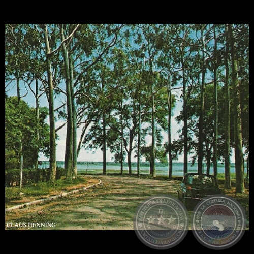 PARQUE CABALLERO - ASUNCIÓN - Foto de CLAUS HENNING