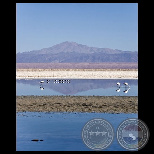 Salares Andinos - Chile (Fotografas de Roberto Dam)