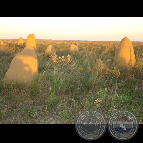 MI PARAGUAY PROFUNDO - Muestra fotográfica de Juan de Urraza - Lunes 2 de Febrero de 2009