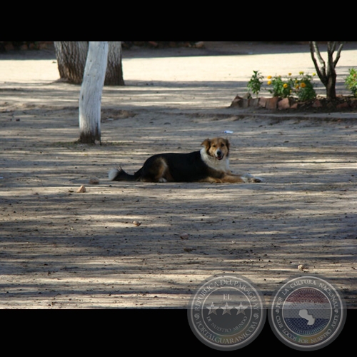 MI PARAGUAY PROFUNDO (Exposición) - Año 2009