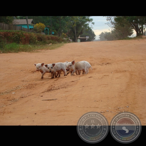 MI PARAGUAY PROFUNDO (Exposición) - Año 2009
