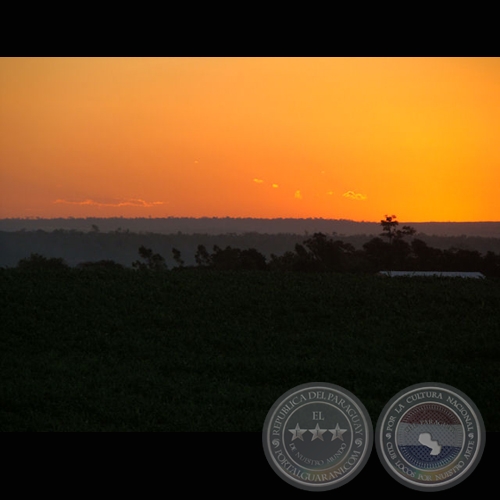 MI PARAGUAY PROFUNDO (Exposición) - Año 2009
