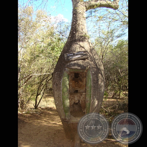 MI PARAGUAY PROFUNDO (Exposición) - Año 2009