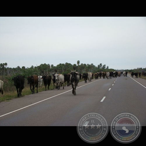 MI PARAGUAY PROFUNDO (Exposición) - Año 2009