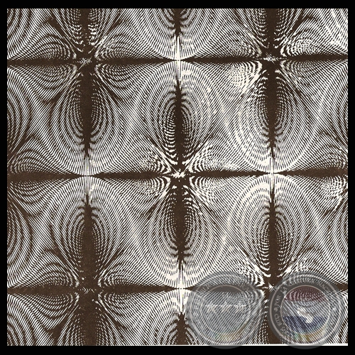 DIBUJO GENERATIVO, 1977 - Obra de MABEL VALDOVINOS - Texto de OLGA BLINDER