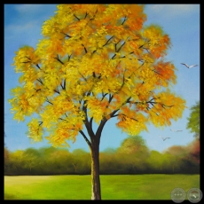 LAPACHO AMARILLO - Óleo de NORMA BÜTTNER