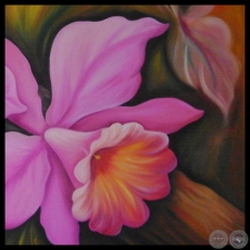 ORQUÍDEAS ROSADAS - Óleo de NORMA BÜTTNER