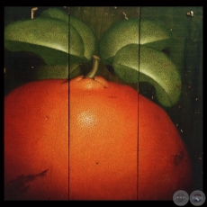MANZANA, 2010 - Óleo sobre madera de EMMANUEL FRETES ROY