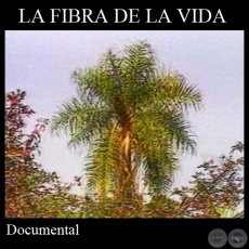 LA FIBRA DE LA VIDA - Documental de JOAQUÍN SMITH