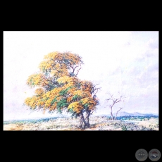 PAISAJE - Obra de Roberto Holden Jara