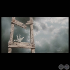 A NECESSIDADE DA TRANSCENDÊNCIA, 2011 - Entrevista a ADRIANA VILLAGRA