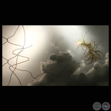 NATURALEZA INTERVENIDA, 2011 (Óleo de ADRIANA VILLAGRA)