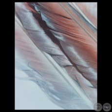 ECHAR A VOLAR, 2009 - Exposición de fotografías de ALEJANDRA GARCÍA