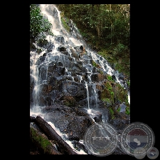 SALTO DE CARAPA (MBARACAYU) - Fotografa de FERNANDO ALLEN