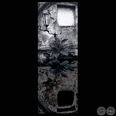 SIN MUROS, 2005 - Fotografías de MABEL AVILA