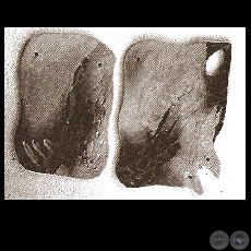 SIN TÍTULO - Obra MABEL AVILA