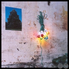 NAVIDAD - Instalación de BETTINA BRIZUELA