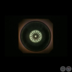 OBJETO, 2009 - Video de BETTINA BRIZUELA