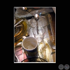 MIGRACIONES: INTERIOR/EXTERIOR - CARLOS BITTAR