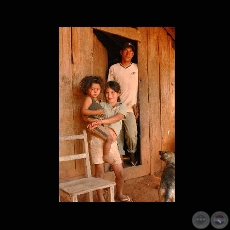 STEVIA - BLOOMBERG NEWS - Photographer: Carlos Bittar - Año 2008