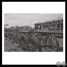 SAPUCAI - Fotografa de Carlos Bittar