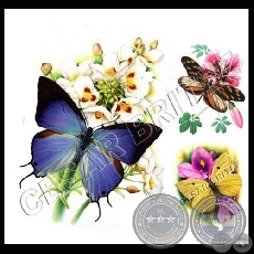 MARIPOSAS - Ilustración de César Brítez