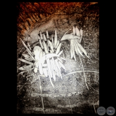 CONTRASEÑAS, 2013 - Grabados de CARLOS ROLANDI