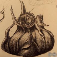 LA OTRA CARNE 2010 - Dibujos de DANIEL MALLORQUÍN