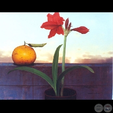 LIRIO - Obra de Sebastián Díaz - Año 2004