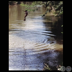 LOS ACHE GUAYAKI DE PUERTO BARRA, 2008 - Fotografía de MALOLA ECHAURI 