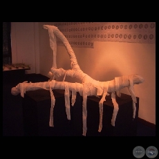 SANAR TUS HERIDAS, SIN DEVOLVERTE LA VIDA - Instalación de ENRIQUE ESPÍNOLA