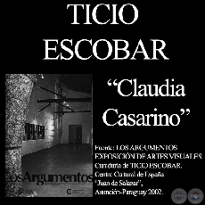 CLAUDIA CASARINO, LA BANDERA, 2001 - Comentario de TICIO ESCOBAR
