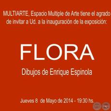 FLORA, 2014 - Dibujos de ENRIQUE ESPÍNOLA
