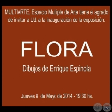 FLORA, 2014 - Dibujos de ENRIQUE ESPÍNOLA