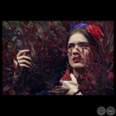 SIN TÍTULO - Fotografía de NATHALIA PLANÁS