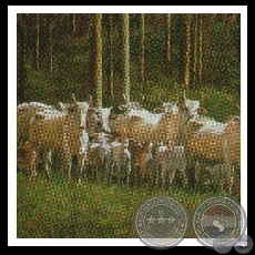 UNA MIRADA AUSENTE (Serie) - Las obras de Virginia Franco - Años 2001/2003 