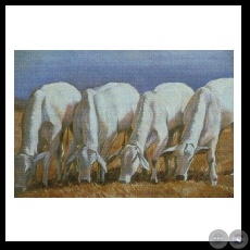 UNA MIRADA AUSENTE (Serie) - Las obras de Virginia Franco - Años 2001/2003 
