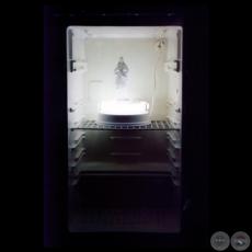 VIDEOINSTALACIÓN - Obra de FREDI CASCO