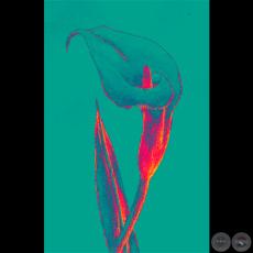 CALAS DIGITALES, 2010 - Arte digital de GABRIEL BRIZUELA