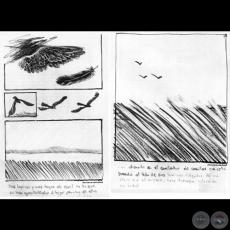 CONTADOR DE CUENTOS - Ilustraciones de Julio González