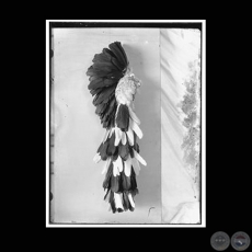 DIADEMA GRANDE DE PLUMAS BLANCAS Y NEGRAS - Fotografía de GUIDO BOGGIANI