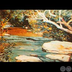 ARROYO (Óleo de JUAN A. SAMUDIO)